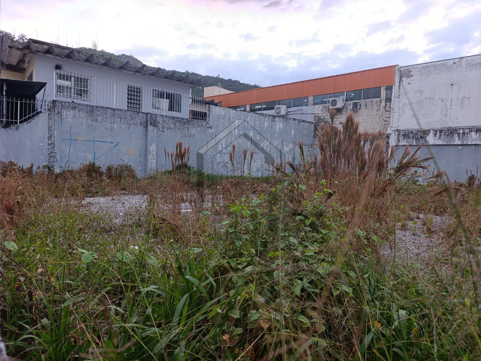 Image D